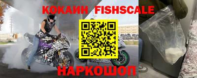 ешки Гай