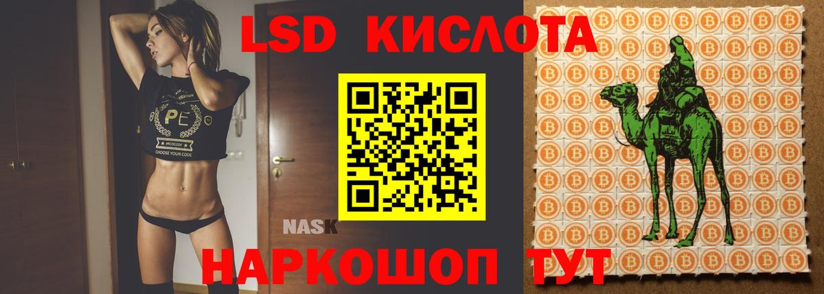 OMG ONION  Вход с VPN  Новодвинск  ЛСД экстази кислота  ЛСД экстази 