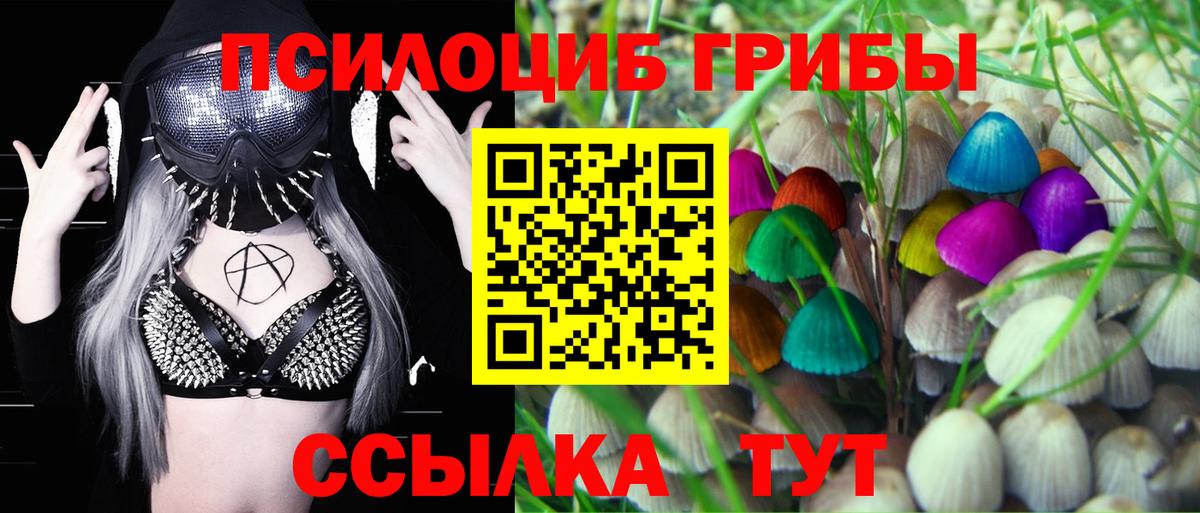Псилоцибиновые грибы Psilocybe  Вход с VPN  Новодвинск 